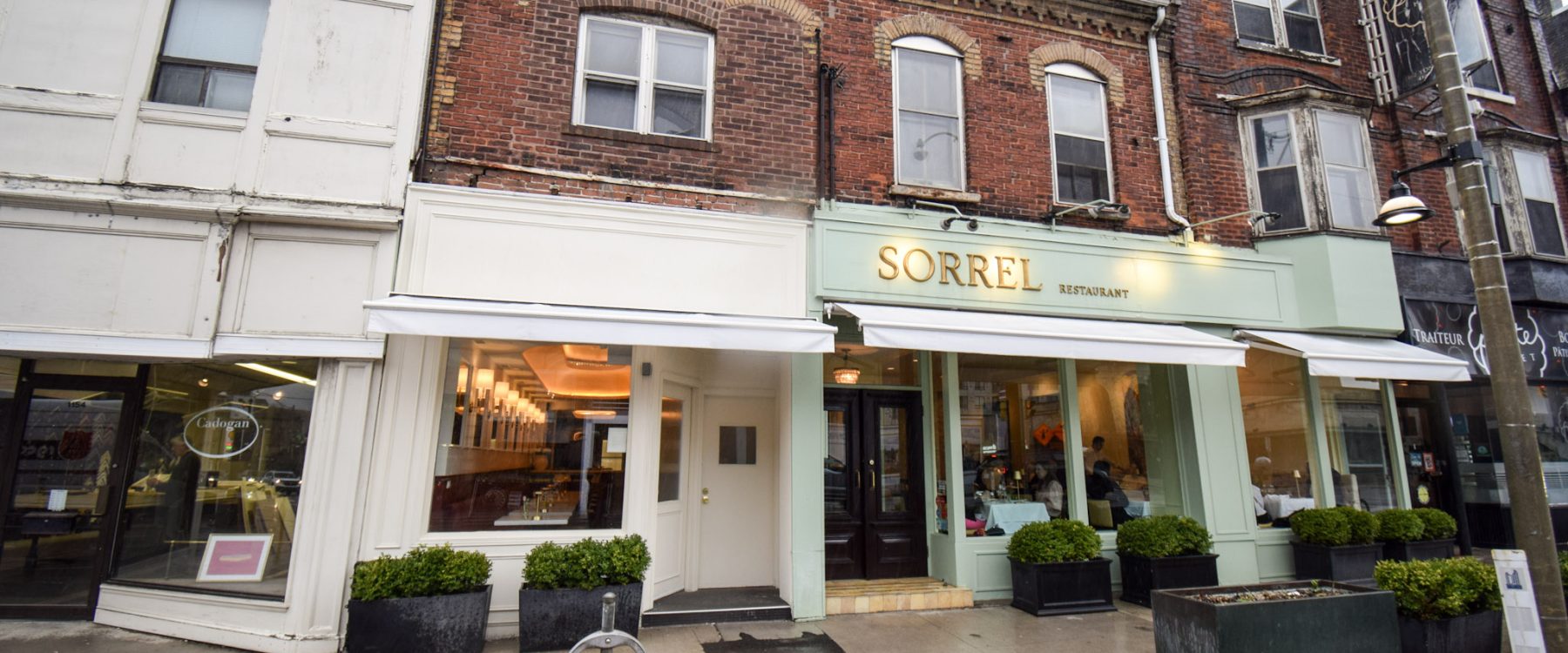 Luxury Restaurant Construction Companies in Toronto, ON - Abeco Building Group Design-Build